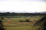 Image: Dadanawa - The Rupununi savannas, Guianas