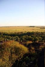 Image: Dadanawa - The Rupununi savannas, Guianas