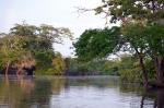 River near Caiman House