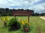 Image: Iwokrama River Lodge - The Central forest zone, Guianas