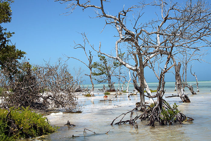 MX0808EM266_isla_holbox.jpg [© Last Frontiers Ltd]