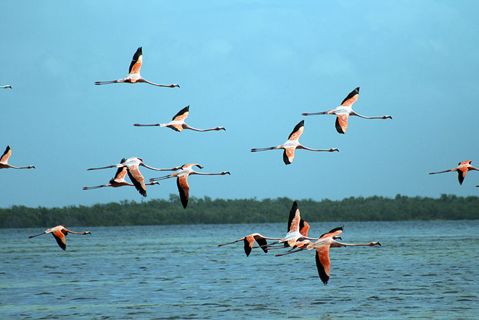 MX0808EM306_isla_holbox.jpg [© Last Frontiers Ltd]