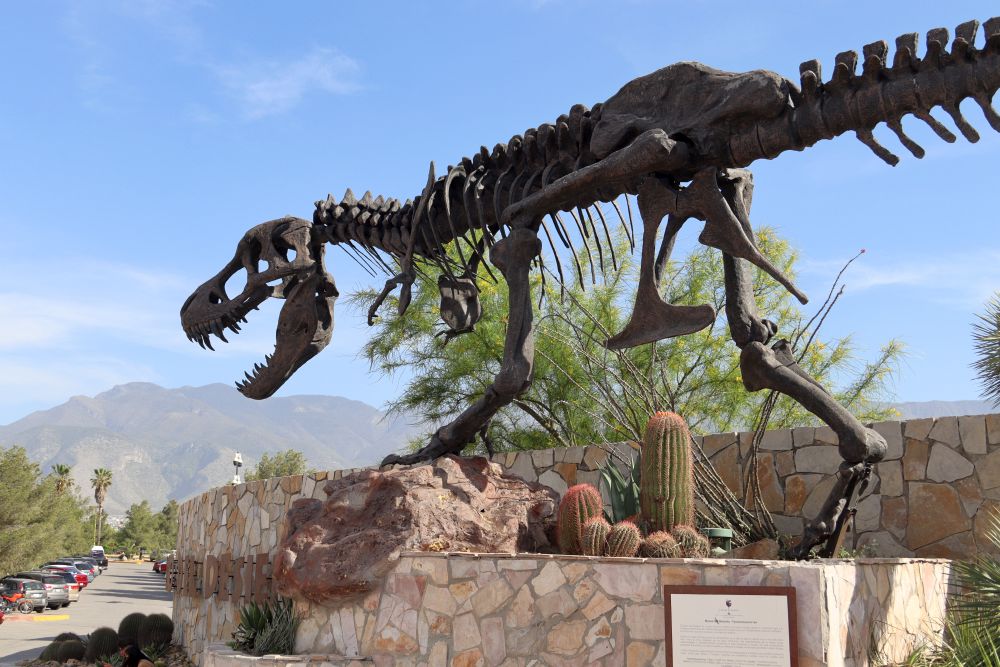 MX2404EP068_saltillo-museo-del-desierto.jpg [© Last Frontiers Ltd]