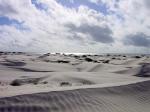 Image: Magdalena Bay - Baja California