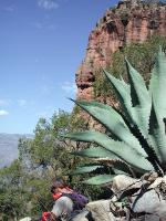 Image: Copper Canyon - The Copper Canyon