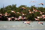 Image: Isla Holbox - Isla Holbox