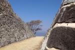 Image: Xochicalco - The Colonial Heartlands