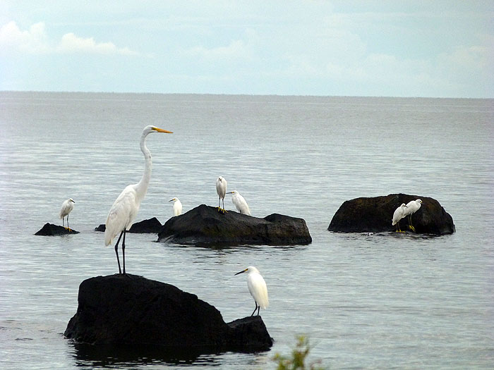 NI0913SM0934_ometepe.jpg [© Last Frontiers Ltd]