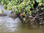 Las Isletas - Granada and Ometepe, Nicaragua