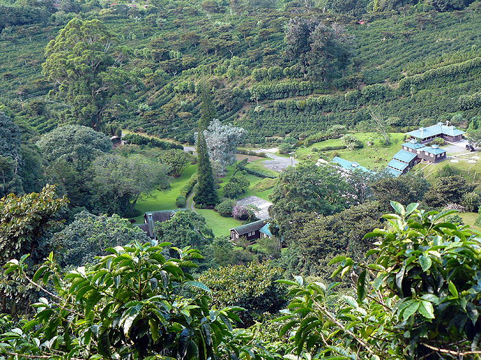 PA0510JF679_finca-lerida.jpg [© Last Frontiers Ltd]