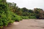 Image: Isla Palenque - Pacific Coast, Panama