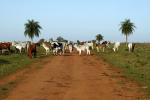 Image: Estancia Tacuaty - The Southern Missions