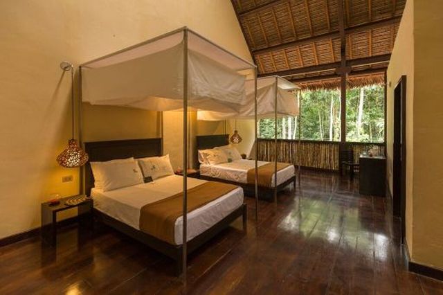 PE0118RX001_tambopata-research-centre-comfort-1.jpg [© Last Frontiers Ltd]