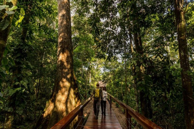 PE0118RX006_tambopata-research-centre-walkway.jpg [© Last Frontiers Ltd]