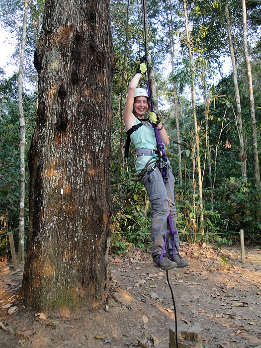 PE0910AB143_refugio-amazonas.jpg [© Last Frontiers Ltd]