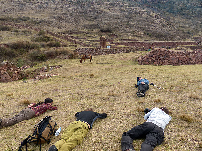 PE1014JL0674_mlp_lares_day1_taucca_to_huchuyqosqo.jpg [© Last Frontiers Ltd]