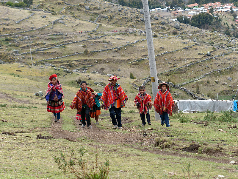 PE1014JL0919_mlp_lares_day5_huacahuasi_to_patacancha.jpg [© Last Frontiers Ltd]