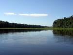 Image: Manu Wildlife Centre - Tambopata and Manu