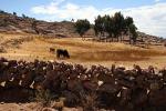 Image: Taquile Island - Lake Titicaca