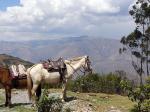 Image: MLP trek: Day 1 - The Inca Trails