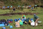 Image: Collpa Lodge - The Inca Trails, Peru