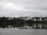 Image: Sandoval Lake Lodge - Tambopata and Manu