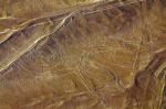 Image: Nazca Lines - Paracas, Nasca and Ica