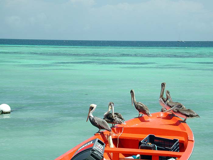 VE0702EP0305_Los_Roques.jpg [© Last Frontiers Ltd]