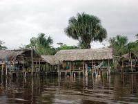 Orinoco Delta Lodge image