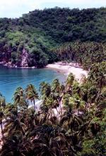 Image: Playa Medina - The Paria Peninsula