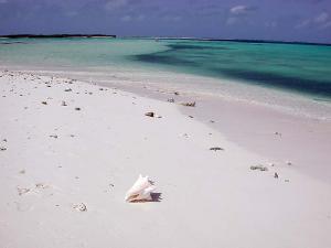 Los Roques image