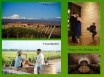 Mendoza wineries